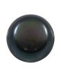 Black Fresh Water Pearl 6.68 Carat 