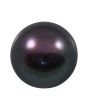 Black Fresh Water Pearl 7.52 Carat 