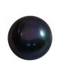 Black Fresh Water Pearl 6.61 Carat