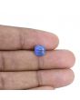 Blue Sapphire (Neelam) - 2.5 Carat 