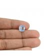 Blue Sapphire (Neelam) - 4.84 Carat 