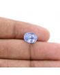 Ceylon Blue Sapphire 5.37 Carat 