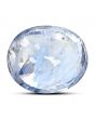 Ceylon Blue Sapphire 8.79 Carat