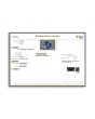 Ceylon Blue Sapphire 6.93 Carat 
