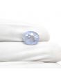 Blue Sapphire (Neelam) 6.97 Carat
