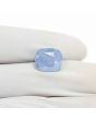 Blue Sapphire (Neelam) 9.54 Carat