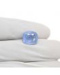 Blue Sapphire (Neelam) - 5.6 Carat