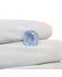 Blue Sapphire (Neelam) - 4.4 Carat