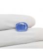 Blue Sapphire (Neelam) - 5.38 Carat