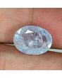 Blue Sapphire (Neelam) - 7.67 Carat 