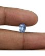 Blue Sapphire (Neelam) - 2.5 Carat 
