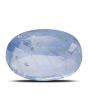 Blue Sapphire (Neelam) - 2.68 Carat 