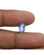 Blue Sapphire (Neelam) - 2.68 Carat 