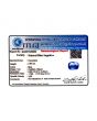 Blue Sapphire (Neelam) - 2.94 Carat 