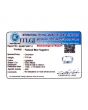 Blue Sapphire (Neelam) - 3.18 Carat 