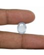 Blue Sapphire (Neelam) - 7.44 Carat 