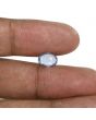 Blue Sapphire (Neelam) - 2.47 Carat 