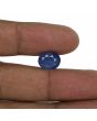 Blue Sapphire (Neelam) Heated - 7.87 Carat 