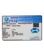 Swiss Blue Topaz 7.72 Carat 