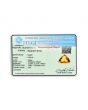 Citrine (Sunela) 5.94 Carat 