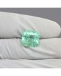 Colombian Emerald (Panna) 7.03 Carat 