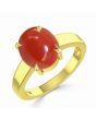 Coral (Special Quality) Gold Classic Solitaire Ring (R2)