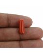 Red Coral (Moonga) - 5.26 Carat 