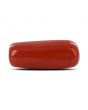 Red Coral (Moonga) - 5.24 Carat 
