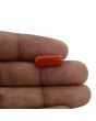 Red Coral (Moonga) - 5.24 Carat 