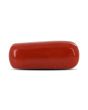 Red Coral (Moonga) - 5.4 Carat 