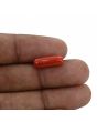 Red Coral (Moonga) - 4.71 Carat 