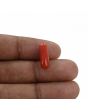 Red Coral (Moonga) - 4.71 Carat 
