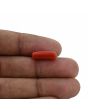 Red Coral (Moonga) - 4.71 Carat 