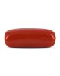 Red Coral (Moonga) - 5.25 Carat 