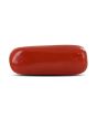 Red Coral (Moonga) - 4.92 Carat 