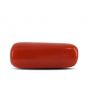 Red Coral (Moonga) - 4.92 Carat 