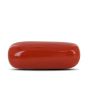 Red Coral (Moonga) - 5.38 Carat 