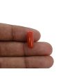 Red Coral (Moonga) - 5.38 Carat 