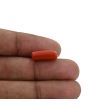 Red Coral (Moonga) - 5.38 Carat 