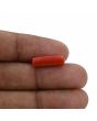 Red Coral (Moonga) - 4.79 Carat 
