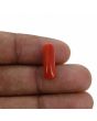 Red Coral (Moonga) - 5.4 Carat 