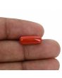 Red Coral (Moonga) - 5.47 Carat 