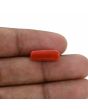 Red Coral (Moonga) - 5.47 Carat 