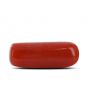 Red Coral (Moonga) - 5.39 Carat 
