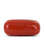 Red Coral (Moonga) - 4.97 Carat 