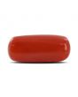 Red Coral (Moonga) - 4.97 Carat 