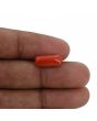Red Coral (Moonga) - 4.97 Carat 