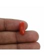 Red Coral (Moonga) - 4.97 Carat 