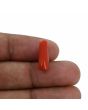 Red Coral (Moonga) - 4.71 Carat 