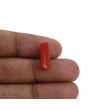 Red Coral (Moonga) - 4.97 Carat 